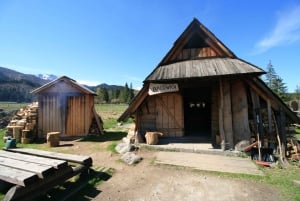 Cracovia: Excursión de un día a Zakopane con baños termales opcionales