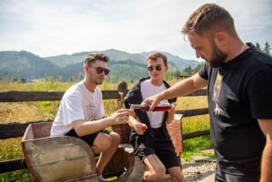 Kraków: Zakopane-tur med privat guide og transport