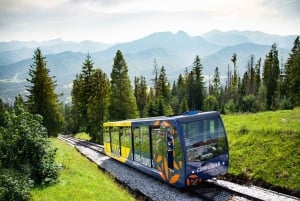 Kraków: Zakopane-tur med privat guide og transport