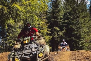 Cracovia: tour di Zakopane con giro in motoslitta e bagno termale