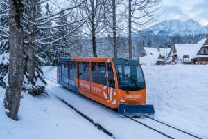 Krakow: Zakopane Tour with Snowmobiles & Bonfire Experience