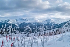 Krakow: Zakopane Tour with Snowmobiles & Bonfire Experience