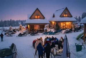 Krakow: Zakopane Tour with Snowmobiles & Bonfire Experience