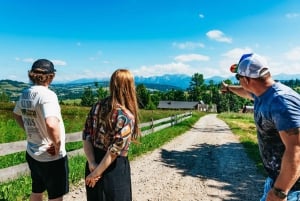 Krakau: Zakopane-tour, warmwaterbronnen, kabelbaan, kaas en wodka