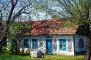 Krakau: Tagesausflug zum bemalten Dorf Zalipie mit Museumstickets