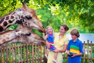 Cracovie : Visite du zoo avec transport privé et billets
