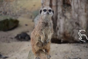 Kraków Zoo: Besøk med henting fra hotellet