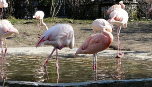 Krakow Zoo