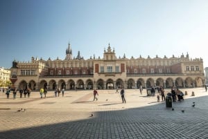 Oude binnenstad van Krakau, Mariakerk & Rynek Underground