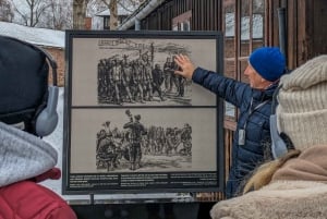 Da Cracovia: Tour guidato di Auschwitz-Birkenau e opzioni di prelievo