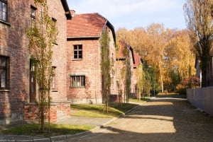 Da Cracovia: Tour guidato di Auschwitz-Birkenau e opzioni di prelievo