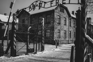 Depuis Cracovie : Visite guidée d'Auschwitz-Birkenau et options de ramassage