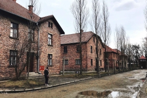 Depuis Cracovie : Visite guidée d'Auschwitz-Birkenau et options de ramassage