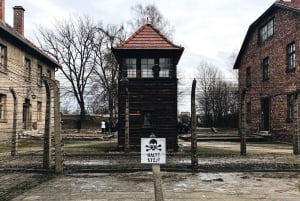 De Cracóvia: Auschwitz-Birkenau - Tour guiado e opções de serviço de busca