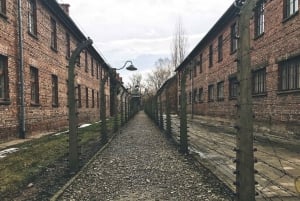 Z Krakowa: Auschwitz-Birkenau Wycieczka z przewodnikiem i opcje odbioru