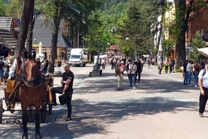 Fra Krakow: Dagstur i Zakopane og Tatra-bjergene