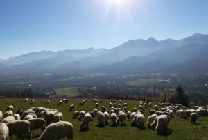 Van Krakau: dagtocht door Zakopane en Tatra-gebergte