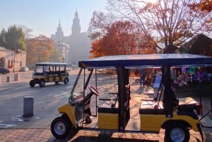 Krakau: stadstour per elektrische golfkar
