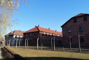 Warszawa: Tur til Krakow og Auschwitz med tog og henting i Warszawa