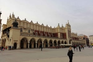 Varsóvia: Excursão para Cracóvia e Auschwitz de trem com serviço de busca