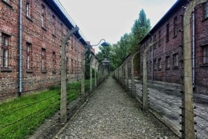 Cracovie : Visite guidée d'Auschwitz-Birkenau avec transfert à l'hôtel