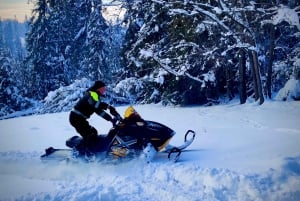 Z Krakowa: Przygoda na skuterach śnieżnych i zwiedzanie term