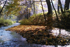 Ojcow-Nationalpark: Ganztägige Tagestour ab Krakau