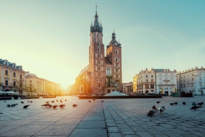 Geführter Rundgang durch die Altstadt mit Eintritt in die Basilika St. Marien