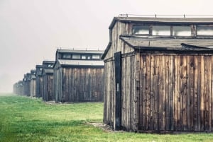 Krakovasta: Krakova: Kuljetus & Self-Tour Auschwitz-Birkenauhun