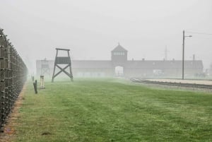 Från Krakow: Transport och rundtur på egen hand till Auschwitz-Birkenau