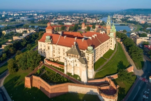 Prywatna wycieczka z pominięciem kolejki do komnat na Wawelu