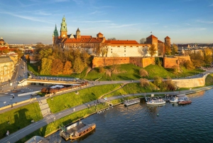 Prywatna wycieczka z pominięciem kolejki do komnat na Wawelu