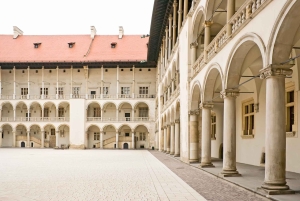 Skip-the-Line Wawel Castle Chambers privat tur