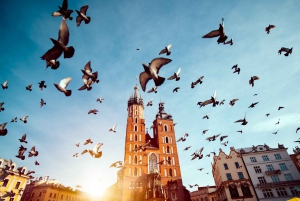 Skip the Line Wawel Castle Chambers Small Group Tour