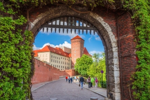 Skip the Line Wawel Castle Chambers Small Group Tour