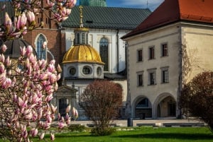 Hoppa över linjen Wawel-katedralen i Krakow Privat rundtur