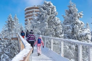 Slovakia: Treetop Walk & Thermal baths from Krakow