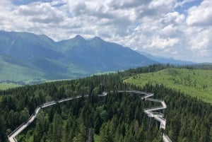 Slovakia: Treetop Walk & Thermal baths from Krakow