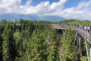 Slovakia: Treetop Walk & Thermal baths from Krakow