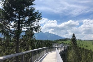 Slovakia: Treetop Walk & Thermal baths from Krakow