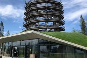 Slovakia: Treetop Walk & Thermal baths from Krakow