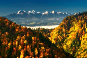 Dagstur med taubane til Zakopane og de termiske badene