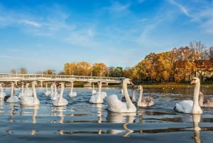 Bratislava/Slovacchia: Castello di Trencin, Terme di Piestany, Monastero