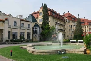Bratislava/Slovacchia: Castello di Trencin, Terme di Piestany, Monastero
