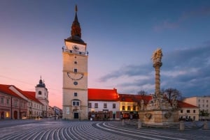 Bratislava/Slovacchia: Castello di Trencin, Terme di Piestany, Monastero