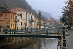 Bratislava/Slovacchia: Castello di Trencin, Terme di Piestany, Monastero