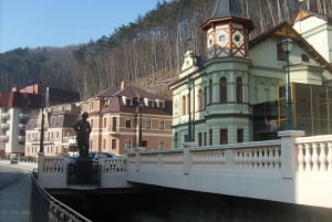 Bratislava/Slovacchia: Castello di Trencin, Terme di Piestany, Monastero