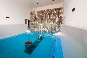 Bratislava/Slovacchia: Castello di Trencin, Terme di Piestany, Monastero