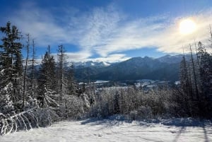 From Krakow: Zakopane Day Trip with Funicular & Food Tasting