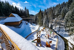 Krakow: Zakopane, Thermal Baths and Gorce Park Treetop Walk